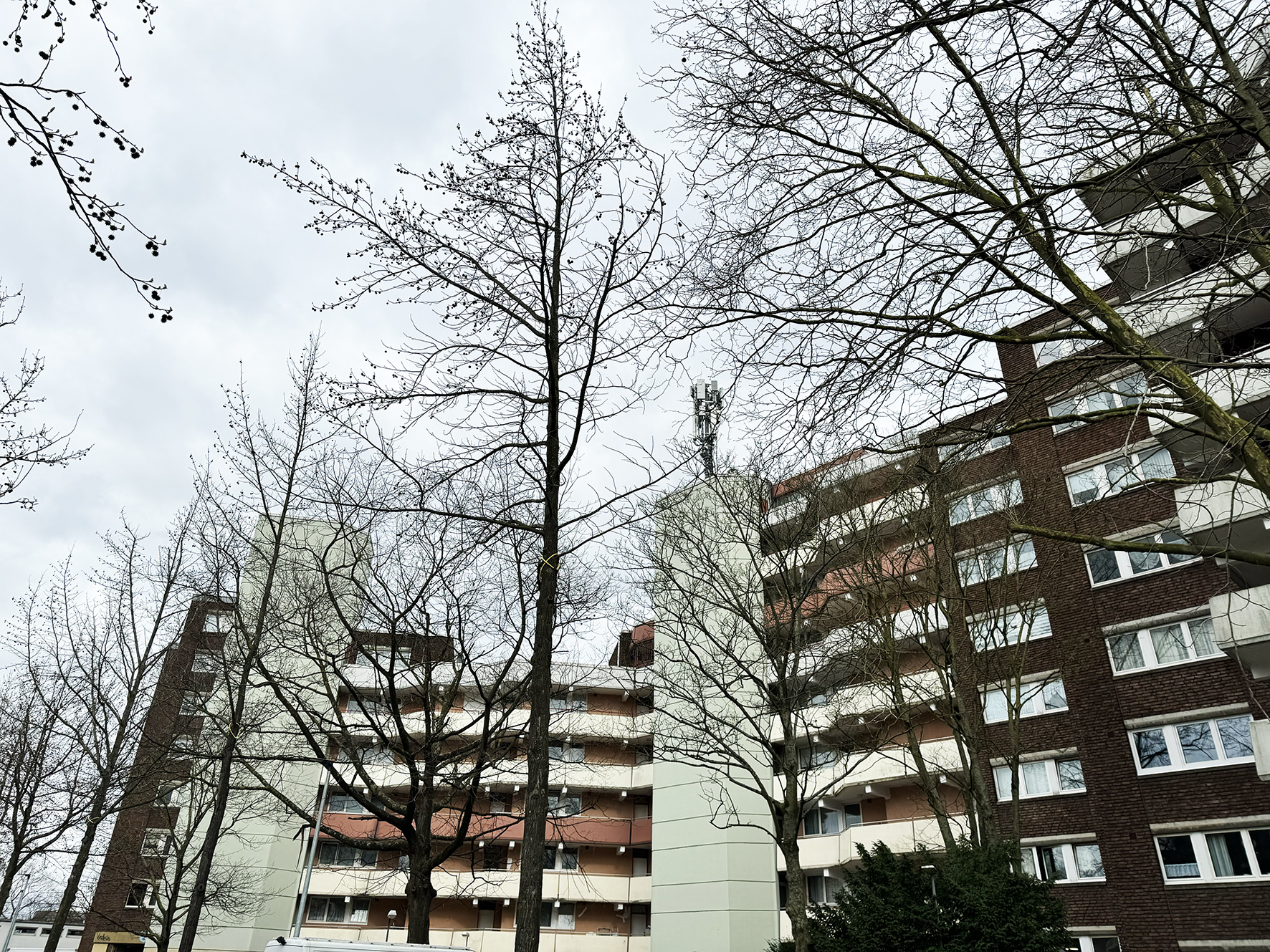 Gebäude an der Dessauer Straße